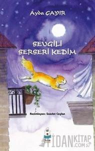 Sevgili Serseri Kedim