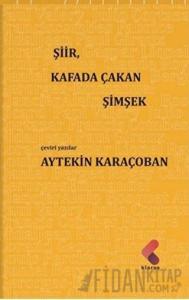 Şiir, Kafada Çakan Şimşek