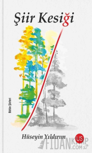 Şiir Kesiği