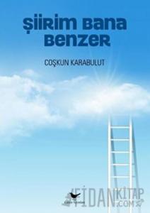 Şiirim Bana Benzer