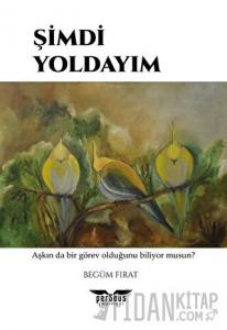 Şimdi Yoldayım