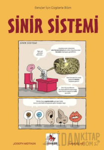 Sinir Sistemi - Gençler İçin Çizgilerle Bilim