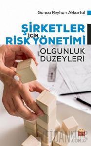 Şirketler İçin Risk Yönetimi - Olgunluk Düzeyleri