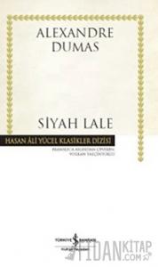 Siyah Lale