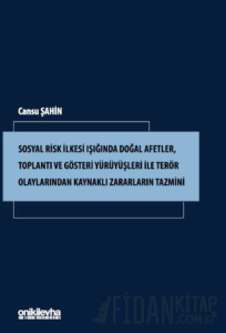 Sosyal Risk İlkesi Işığında Doğal Afetler, Toplantı ve Gösteri Yürüyüşleri ile Terör Olaylarından Kaynaklı Zararların Tazmini