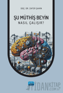 Şu Müthiş Beyin - Nasıl Çalışır?