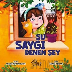 Şu Saygı Dene Şey