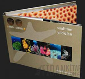 Sualtının Yıldızları (Ciltli)