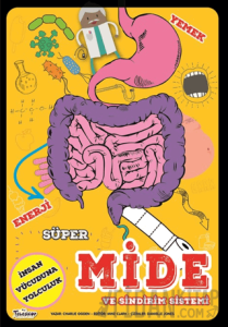 Süper Mide ve Sindirim Sistemi