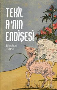 Tekil A'nın Endişesi