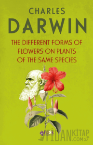 The Different Froms Of Flowers On Plants Of The Same Species