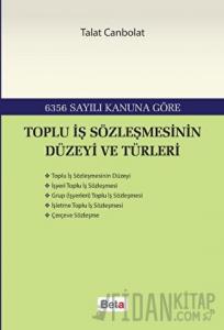 Toplu İş Sözleşmesinin Düzeyi ve Türleri