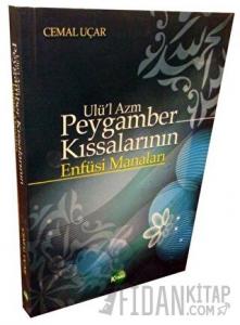 Ulü'l Azm Peygamber Kıssalarının Enfüsi Manaları