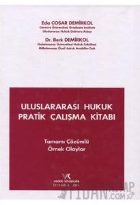 Uluslararası Hukuk Pratik Çalışma Kitabı (Ciltli)