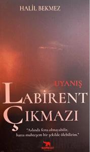 Uyanış Labirent Çıkmazı