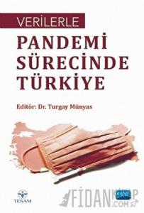 Verilerle Pandemi Sürecinde Türkiye
