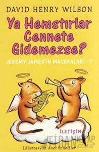 Ya Hemstırlar Cennete Gidemezse?