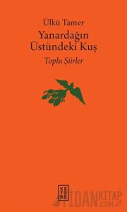 Yanardağın Üstündeki Kuş