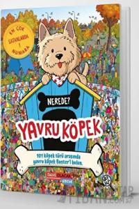 Yavru Köpek Nerede?