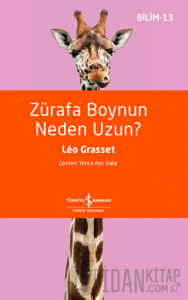 Zürafa Boynun Neden Uzun?