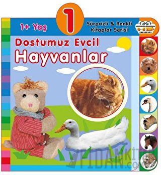 1+ Yaş Dostumuz Evcil Hayvanlar (Ciltli)