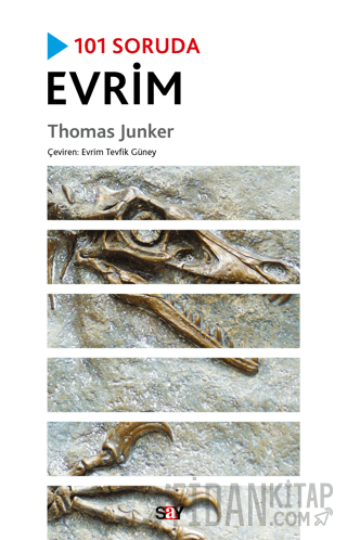 101 Soruda Evrim