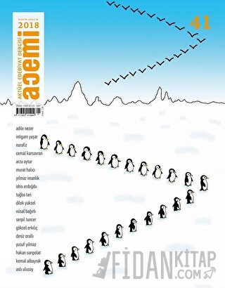 Acemi Aktüel Edebiyat Dergisi Sayı 41
