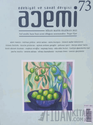 Acemi Edebiyat ve Sanat Dergisi Sayı 73