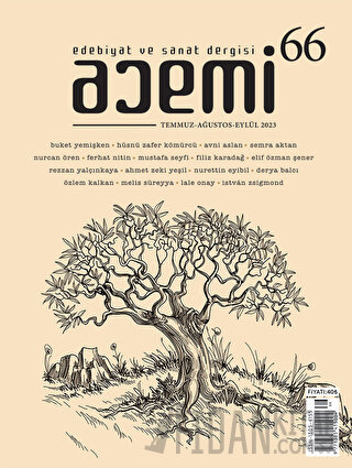 Acemi Edebiyat ve Sanat Dergisi Sayı 66
