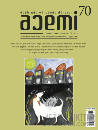 Acemi Edebiyat ve Sanat Dergisi Sayı 70