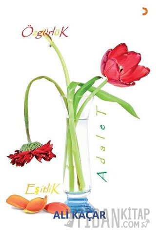 Adalet Eşitlik Özgürlik