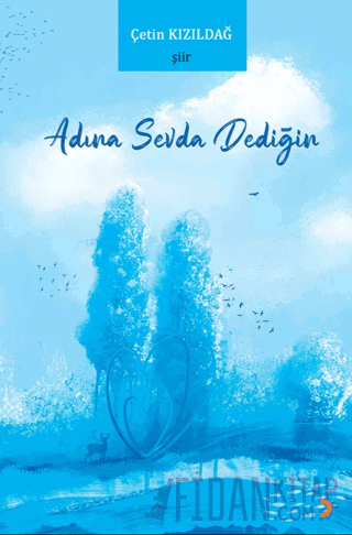 Adına Sevda Dediğin