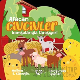 Afacan Civcivler Komşularıyla Tanışıyor!