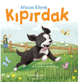 Afacan Köpek Kıpırdak