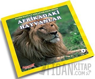 Afrikadaki Hayvanlar - Benim Hayvan Arkadaşlarım Dizisi 1