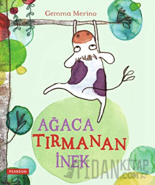 Ağaca Tırmanan İnek Gemma Merino