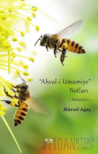 Ahval-i Umumiye Notları