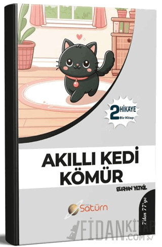 Akıllı Kedi Kömür