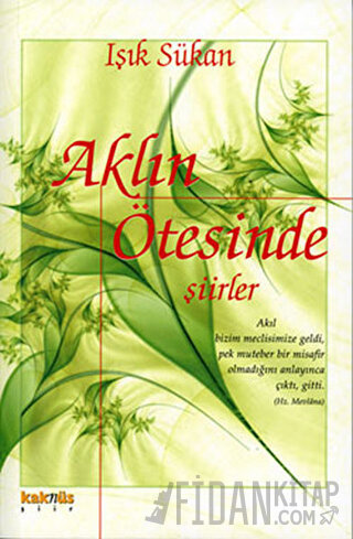 Aklın Ötesinde Şiirler