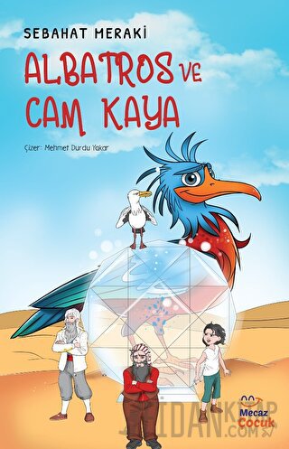 Albatros ve Cam Kaya