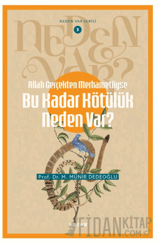 Allah Gerçekten Merhametliyse Bu Kadar Kötülük Neden Var?