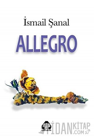 Allegro İsmail Şanal