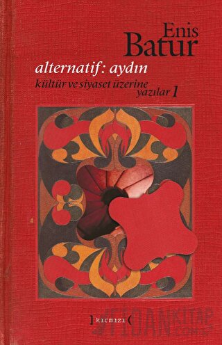 Alternatif: Aydın: Kültür ve Siyaset Üzerine Yazılar - 1 (Ciltli)