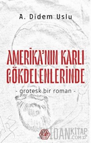 Amerika'nın Karlı Gökdelenlerinde