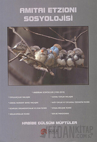 Amitai Etzioni Sosyolojisi