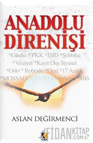 Anadolu Direnişi