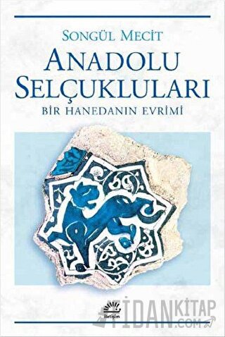 Anadolu Selçukluları