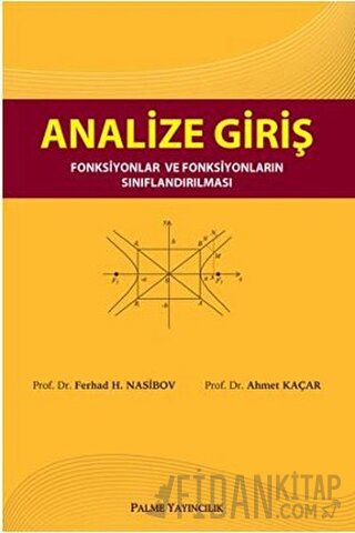Analize Giriş