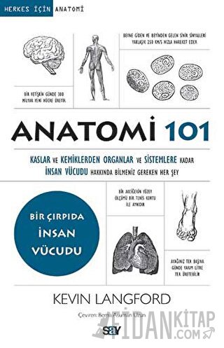 Anatomi 101 Kevin Langford