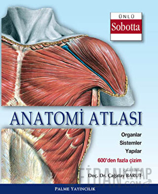 Anatomi Atlası (Sobotta Çizimleri)